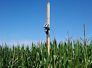 Precision farming to control irrigation and improve fertilization strategies on corn crops