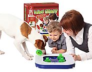 Best Smart Toys for Dogs