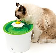 Best Smart Toys for Cats
