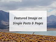 How To Show The Featured Image In Single Pages And Posts In Genesis - Binary Turf
