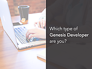 Types of Genesis Developers