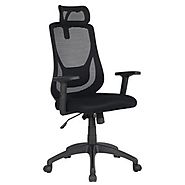 VIVA Office Ergonomic High Back Mesh Chair with Adjustable Headrest and Armrest (Viva1168F1)
