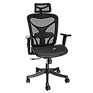 ANCHEER Ergonomic Office Chair with Black Mesh and Adjustable Lumbar Support, Swivel Computer Chairs for Home Office ...