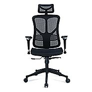 Argomax Mesh ergonomic office chair (EM-EC001)