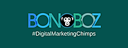 Best SEO Company in India - Bonoboz.in