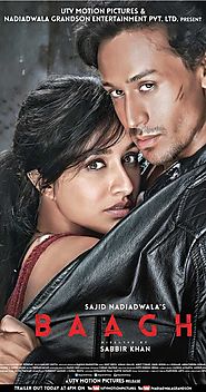 Baaghi grossing at Rs 11.94 crore