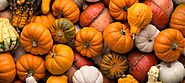 Fall Decorations for a Welcoming Home this Thanksgiving