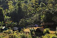 Best Places to Visit in Uttarakhand: Camping in Munsiyari