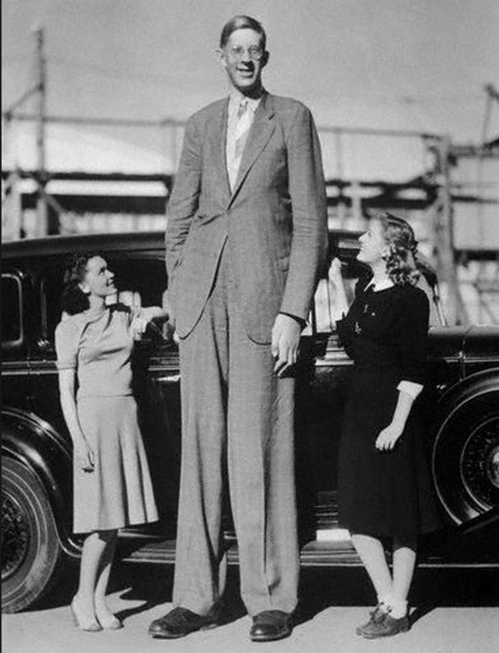 Top 10 Tallest Men | A Listly List