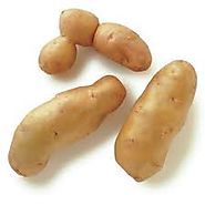 Fingerling Potato