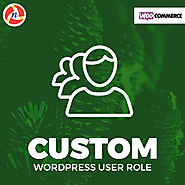 WordPress Custom User Role Plugin - NCode Technologies, Inc.