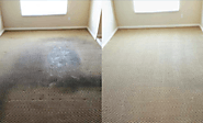 Saniall LLC: Affordable Carpet Cleaning Services Raleigh