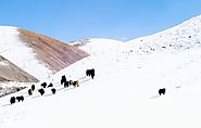 China Tibet Tours – A Memorable Experience Of Lifetime! - Tibet Highland Tours