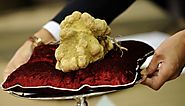 The Most Expensive Truffle - $160,406