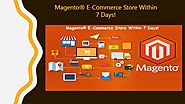 Professional Magento eCommerce Development and Customization Services