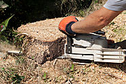 Website at http://www.provincialtrees.com/Stump-Grinding-Is-Not-A-Job-Of-An-Amateur-Call-A-Professional-Now