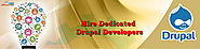 Hire Dedicated Drupal Developers India – Web Animation India
