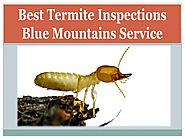 Best Termite Inspections Blue Mountains Service