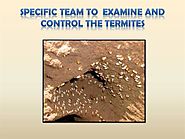 Specific Team to Examine And Control the Termites