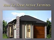 How To Treat Active Termites
