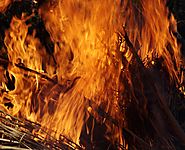 Things to Know About Fire Insurance