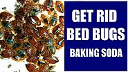 How To Get Rid of Bed Bugs With Baking Soda