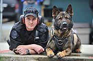 k9 police dogs Powered by RebelMouse