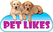 Pet Food Wholesalers, Dog Food Manufacturers in India