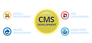 Why CMS is Best for Website Development?