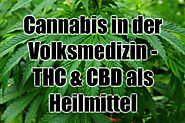 Cannabis in der Volksmedizin - Marihuana als Heilpflanze!