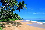 Enjoy Beruwala Beach