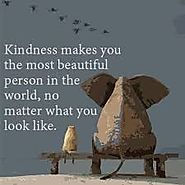 Here is a sweet quote about kindness!