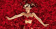 American Beauty 1999 Movie Download 720p Bluray Free