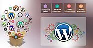 Get the Best Services of Wordpress Website Design Dubai