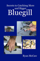 Bluegill World - Bluegill Fly: Bully's Spider