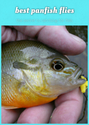 best panfish flies: the secret to catching for fish