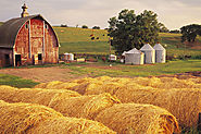 Agricultural Loans With Expert Mortgage Brokers