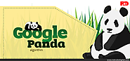 How to Handle Latest Google Panda Update - RedCube Digital Media