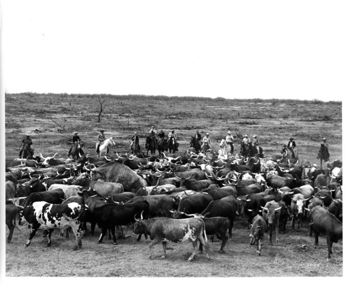 Texas Cattle Trails: The Good, Bad, and Ugly | A Listly List