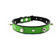Green studded dog collar