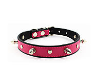 Pink studded dog collar