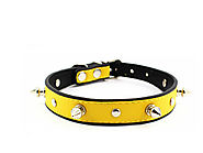 Yellow studded dog collar