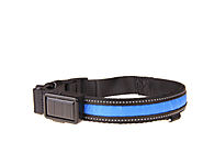 Blue solar / USB rechargeable LED dog collar