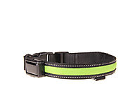 Green solar / USB rechargeable LED dog collar