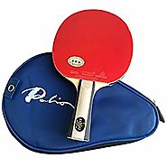 Palio Expert 2 Table Tennis Racket & Case