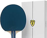 Best Ping Pong Paddle for Beginners - Reviews and Ratings 2020- Tackk