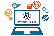 Professional Wordpress Web Design Dubai Company