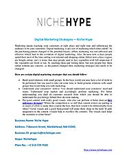Digital marketing strategies — niche hype