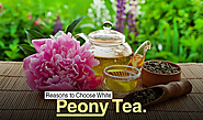 Reasons To Choose White Peony Tea