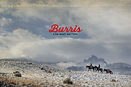 Official Site for Burris Optics